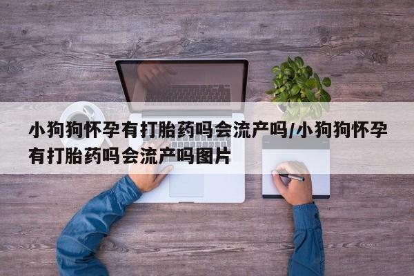 米非米索私人微信小狗狗怀孕有打胎药吗会流产吗/小狗狗怀孕有打胎药吗会流产吗图片