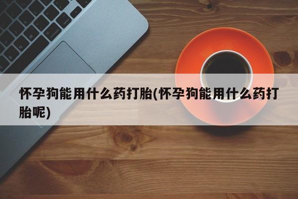 米非米索私人微信怀孕狗能用什么药打胎(怀孕狗能用什么药打胎呢)